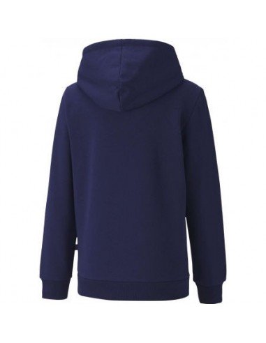 SWEAT A CAPUCHE ESS 2 COL HOODY FL B...
