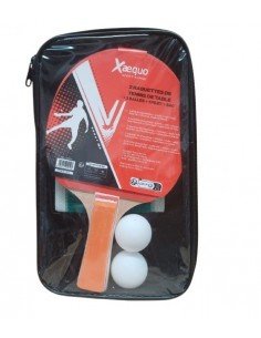 PACK DE RAQUETTES de Ping...